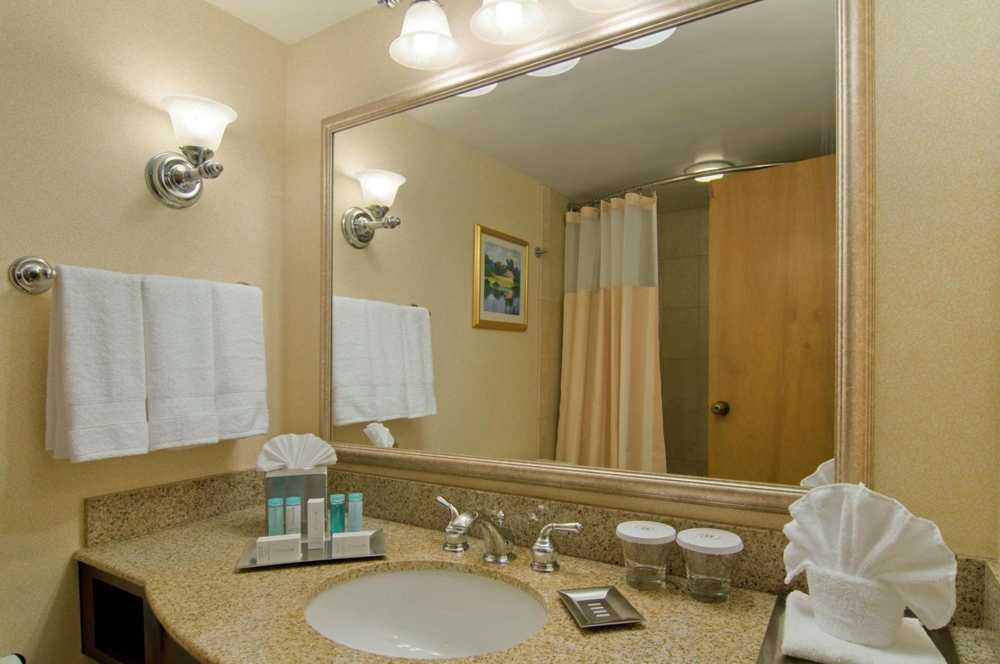 Hotel Hilton North Hills 3*