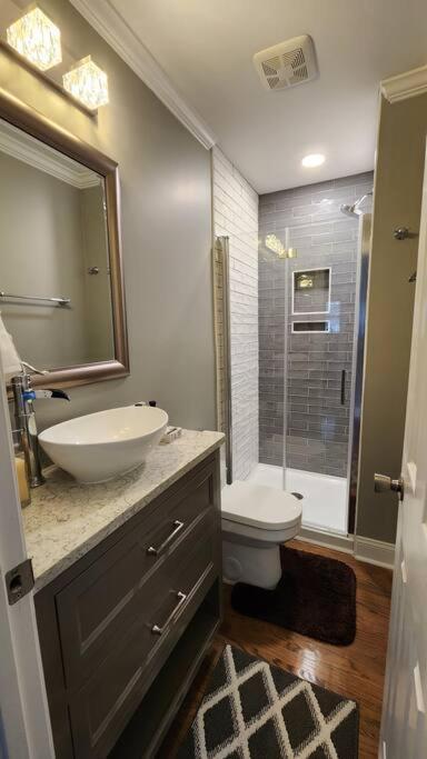 Wow! New Apat Close To Things In Raleigh/wake Apartment *
