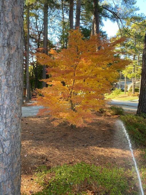 Amazing Location - Walk Across To North Hills * Raleigh