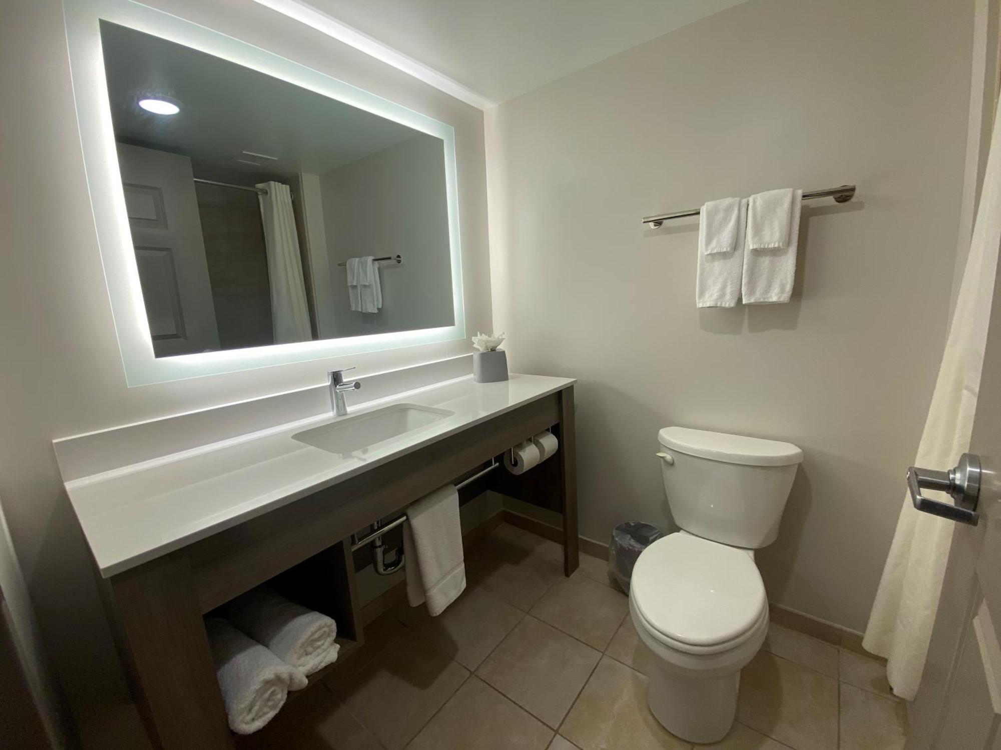 Wingate By Wyndham State Arena Raleigh/cary Raleigh