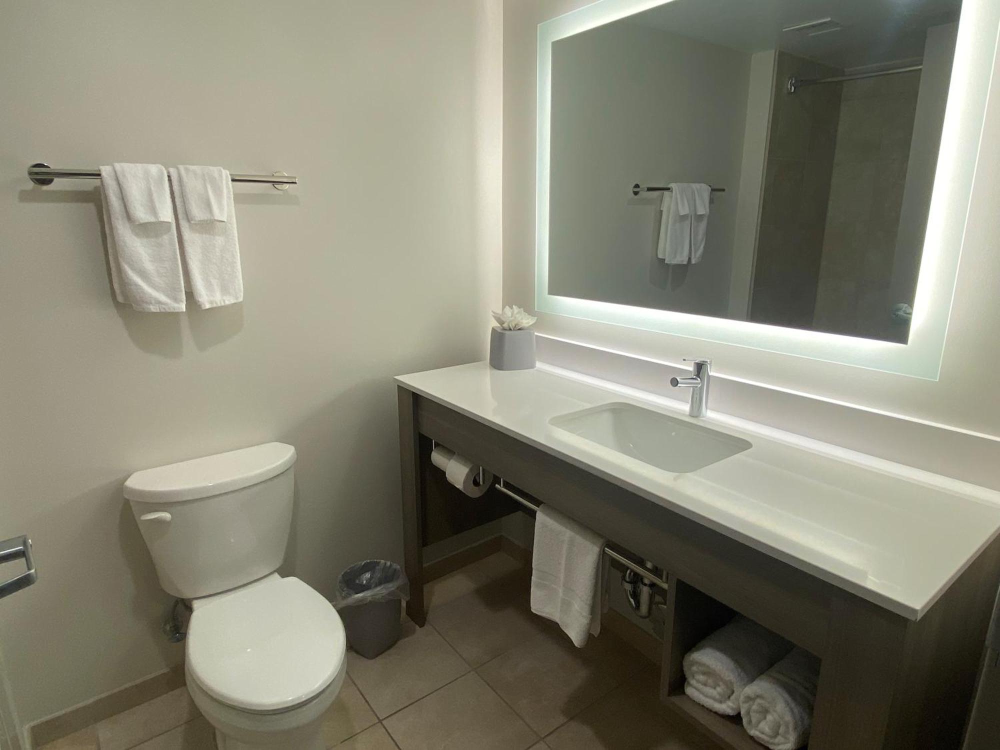 Hotel Wingate By Wyndham State Arena Raleigh/cary Raleigh