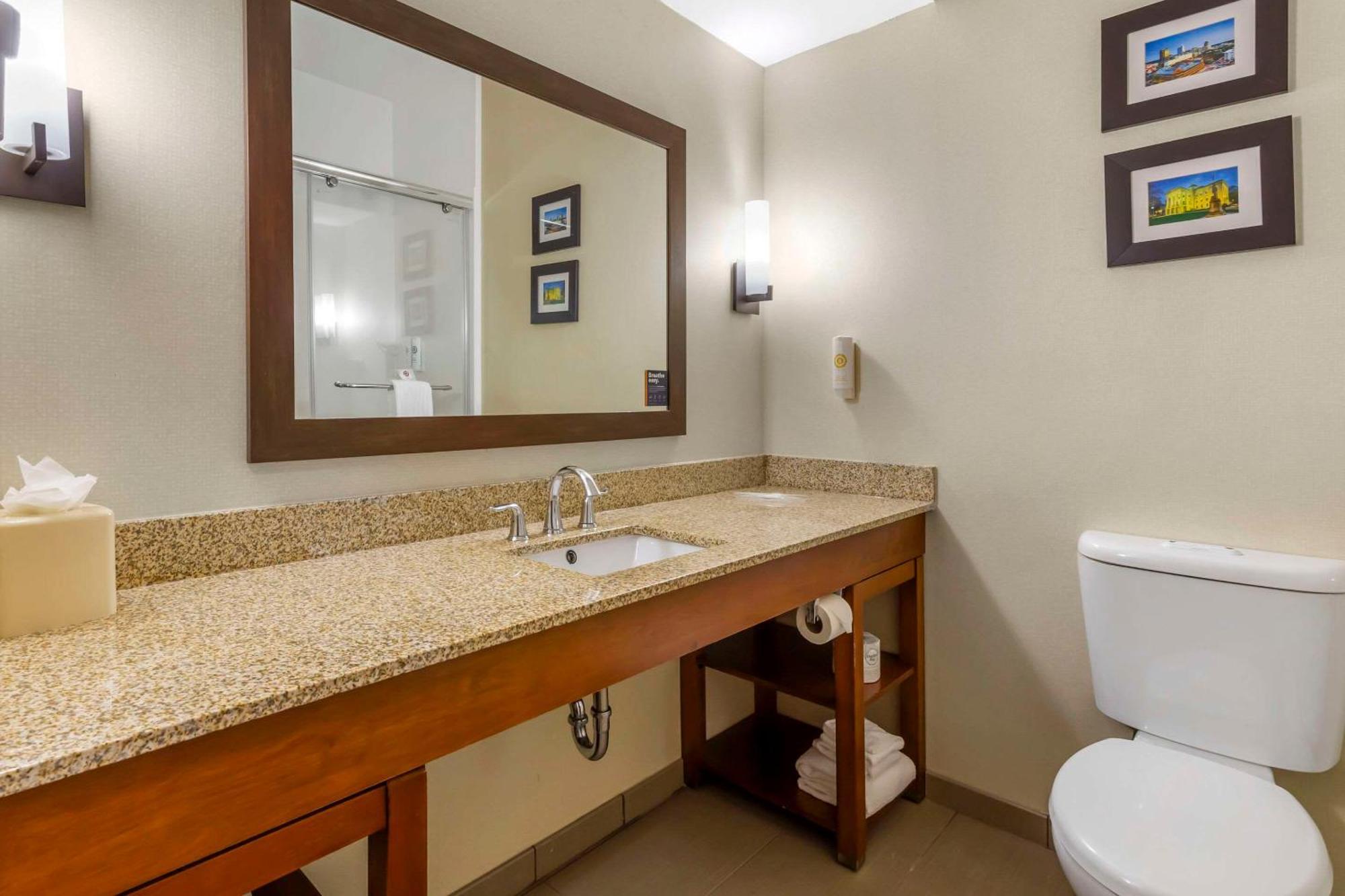 Hotel Comfort Walnut Creek Raleigh